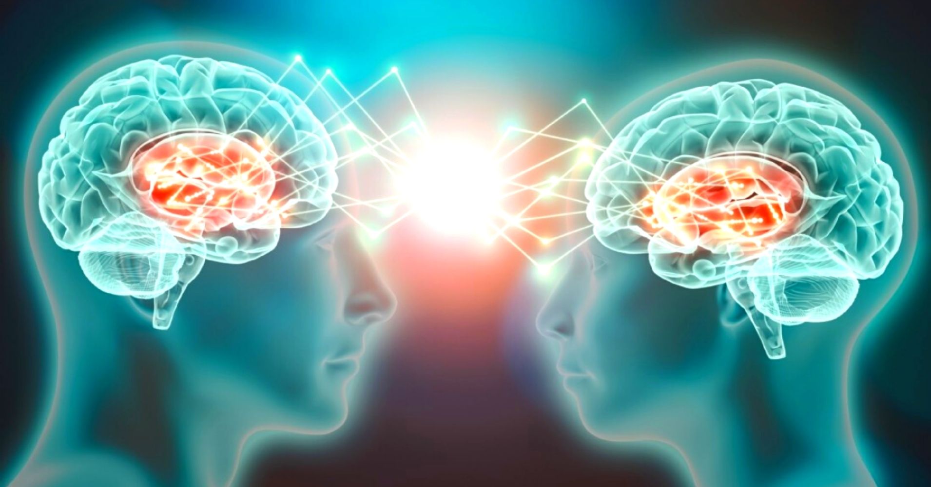 deux cerveaux se synchronisant pour illustrer la formation en ligne de TCC